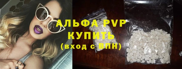 тгк Дмитриев