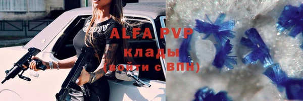 тгк Дмитриев