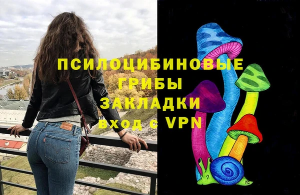 тгк Дмитриев