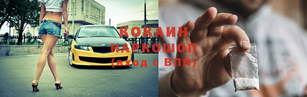 тгк Дмитриев