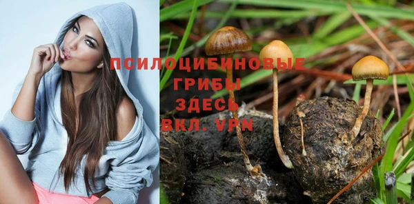 тгк Дмитриев