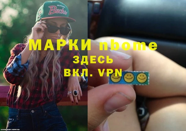 тгк Дмитриев