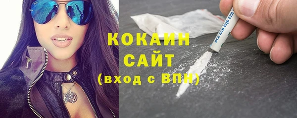 тгк Дмитриев